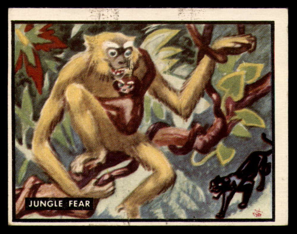 5 Jungle Fear